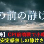 【米国株】CPI前哨戦で小幅下落！安定感無しの嵐の前の静けさ