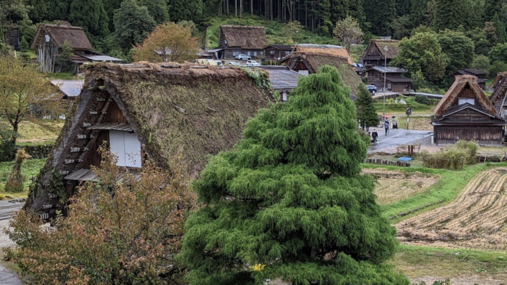 無理のない範囲で投資を続けていくということ