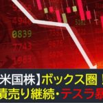 【米国株】ボックス圏移行・債券売り・テスラ暴落！