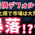 債務上限問題を要約して簡単に解説！暴落の危機？買うべき資産とは？