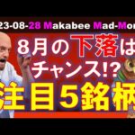 【米国株】8月の下落はチャンス！？優良株の下落を狙おう！注目５銘柄！【ジムクレイマー・Mad Money】（動画）