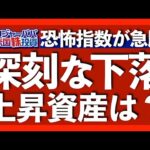 米国株は揃って続落。恐怖指数VIXが20を超えて上昇。企業の利益成長はマイナス。上昇ドル円の先行きは下落【米国株投資】2023.10.22（動画）