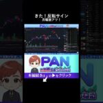 【初心者必見】これが出たら反発の合図。プロが教える超重要なチャートの見方（動画）