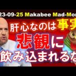 【米国株】悲観下落の４例！悲観に飲み込まれるな！雰囲気と事実は区別して考えよう！【ジムクレイマー・Mad Money】（動画）