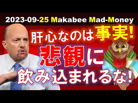 【米国株】悲観下落の４例！悲観に飲み込まれるな！雰囲気と事実は区別して考えよう！【ジムクレイマー・Mad Money】（動画）