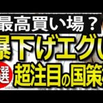 国策に売りなし？岸田内閣が後押しする爆下げ注目株４選（動画）