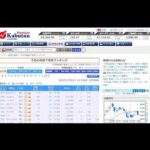 日経 49200割れた瞬間終了するLIVE（動画）