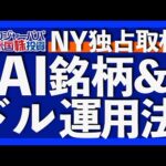 ウォール街で独占取材！合理的なAIバブル投資法「ブランクチェック」とは？｜ナスダック企業CEOが解説する米国株投資術｜米ドルはマネーブルを使えば資産運用になる【米国株投資】2025.9.4（動画）