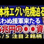 日本株に第三の援軍？2つの危機迫るも、日経平均は下落後再上昇か（動画）