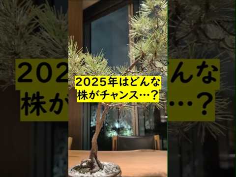 【2025年】新NISAで買うべき米国株は？おすすめの探し方 #配当金生活 #お金 #不労所得（動画）