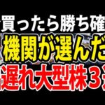 大口機関が選んだ日本株３選（動画）