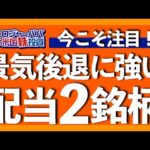 ナスダック100の3倍リターン！超優良な厳選配当株2銘柄を解説します【米国株投資】2023.5.23（動画）