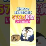 【過去最高のプラス】新NISAでS&P500に570万投資したらいくら増えた？（動画）