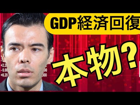 日本のGDP発表、経済回復は本物か？低失業率の問題？（動画）