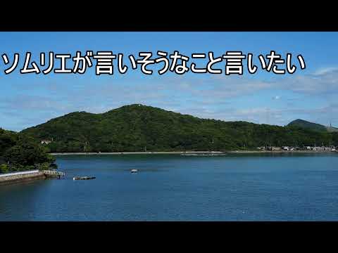 ただの深夜雑談（動画）