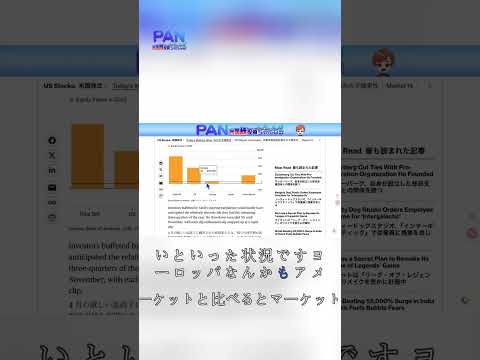 AIバブル懸念と米国市場への資金流入の実態（動画）