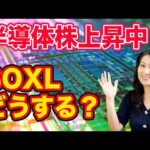 【米株上昇中！】SOXL 半導体株は今後どうなる？（動画）