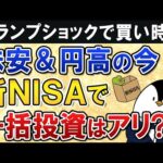 【買い時のチャンス？】トランプショックで株安＆円高の今、新NISAで一括投資はアリか解説（動画）