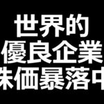あの優良企業、株価爆下げ中（動画）