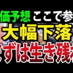 日本株・米国株・ビットコインまで大幅下落、生き残れ！（動画）