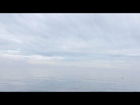 【朝雑談】俺のモルディブ海から生放送（動画）