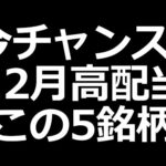 下落中 12月高配当株 この5銘柄（動画）