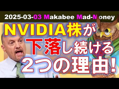 【米国株】トランプ・ゼレンスキー会談を経て、NVIDIA株が下落し続ける理由！【ジムクレイマー・Mad Money】（動画）