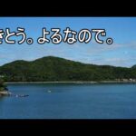 てきとう。深夜の。（動画）