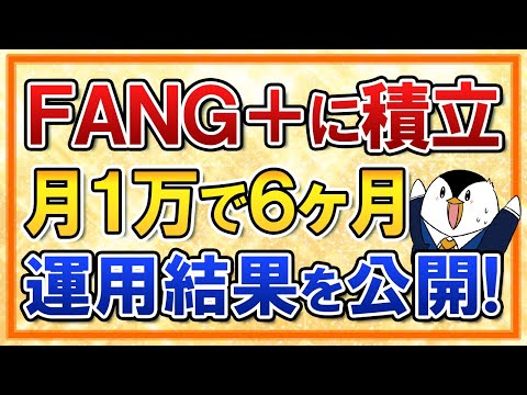 【検証】FANG+に積立したらどうなる？月1万で6ヶ月の運用結果を公開（動画）
