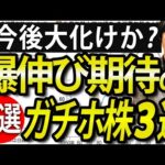 今後爆伸び期待でガチホ確定？今話題のテーマ株３選（動画）