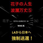 花子の人生波瀾万丈⑤LAから日本へ強制送還！ #米国株 #nisa（動画）