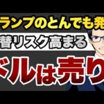 トランプとんでも発言　為替リスク高まる　ドルは売り（動画）