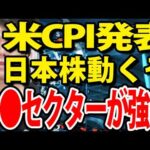 自民大半で政変起こる？米CPI（消費者物価指数）発表後で日本株動くぞ（動画）