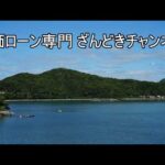 残価ローンの使い時について考える（動画）