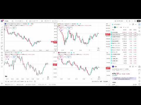 日経先物とSP500とナスと仮想通貨の下落見るだけ（動画）