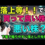 下落上等！でも買って良い株？悪い株？解説！（動画）