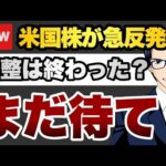 【まだ待て】米国株が急反発　調整は終わった？（動画）