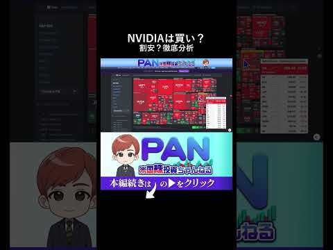 NVIDIAは本当に割安か？有名企業とのPER比較で分かる衝撃の事実（動画）