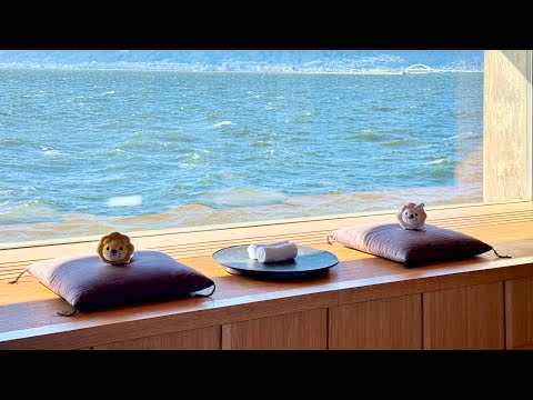 【実写ライブ】船上ホテルから、お金の勉強ライブを発信するで〜！【8月23日8時30分まで】（動画）
