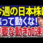日本株、運命の１週間、始まる！個別株に重要な動き、見逃すな（動画）
