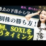 過去の下落から学ぶ「個別株の勝ち方」次回SOXLを買うタイミング（京都オフ会2026）（動画）