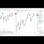 祝！ 日経平均株価 上場来高値！（動画）