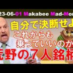 【米国株】株式市場を救ってきた荒野の７人銘柄！これからも乗っていいのか？それとも下落銘柄の再起に賭けるのか？【ジムクレイマー・Mad Money】（動画）