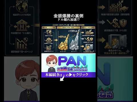 金60%銀130%上昇の裏にあるドル離れ（動画）