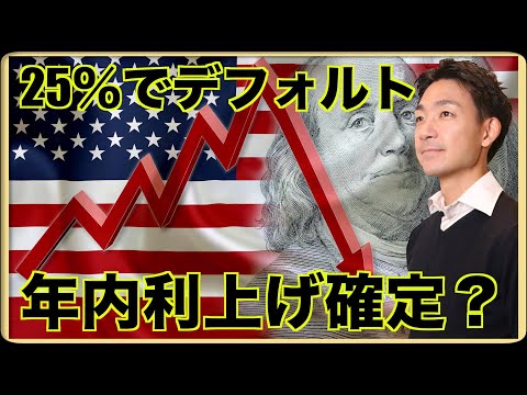 デフォルト確率２５％！年内利上げ確定？（動画）