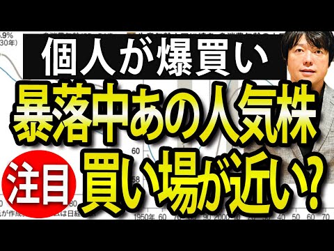 暴落が続くなか個人投資家の人気集まる日本株4銘柄（動画）