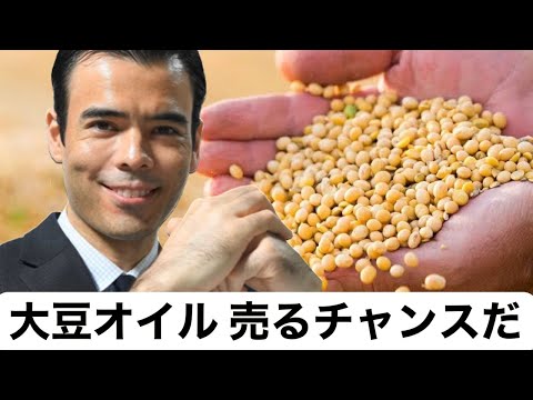 【コモディティ】大豆オイル、売るチャンスだ！（動画）