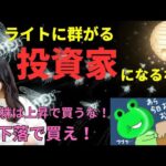 【AIバブル懸念で米株下落！】ライトに群がる投資家虫になるな！個別株は下落で買う（Sora2でカエルちゃんを動かしてみた）（動画）