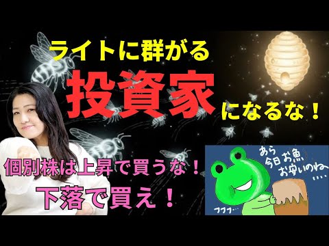 【AIバブル懸念で米株下落！】ライトに群がる投資家虫になるな！個別株は下落で買う（Sora2でカエルちゃんを動かしてみた）（動画）