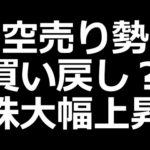 日本株爆上げ／明日テスラ決算注目（動画）